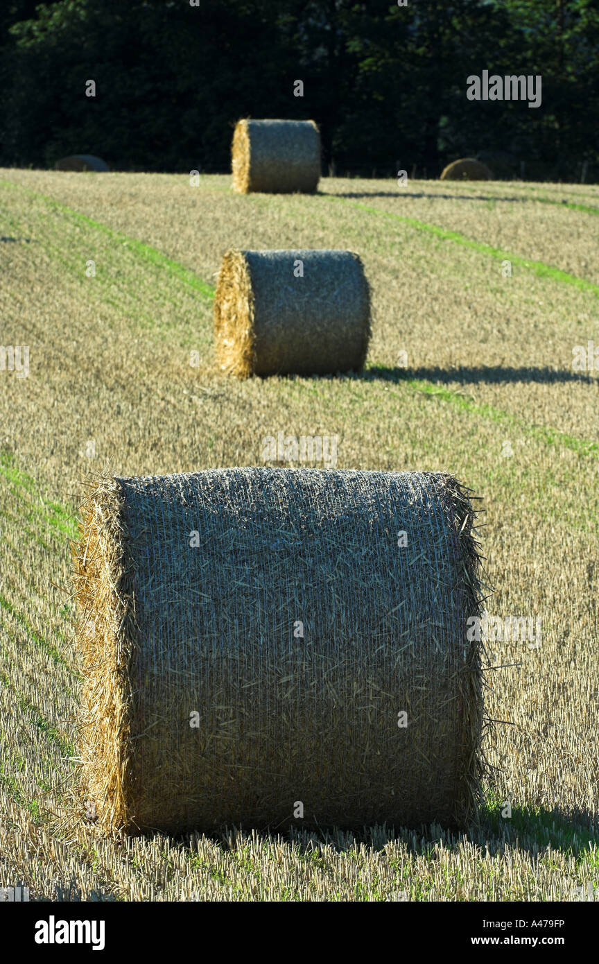 Domaine de la grande tour des bottes de paille Banque D'Images