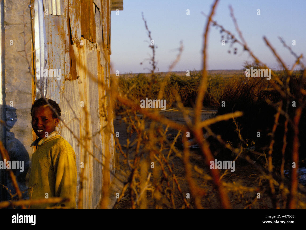 Un garçon paysan à l'extérieur de sa cabane dans l'auto déclaré pays indépendant du Somaliland Banque D'Images