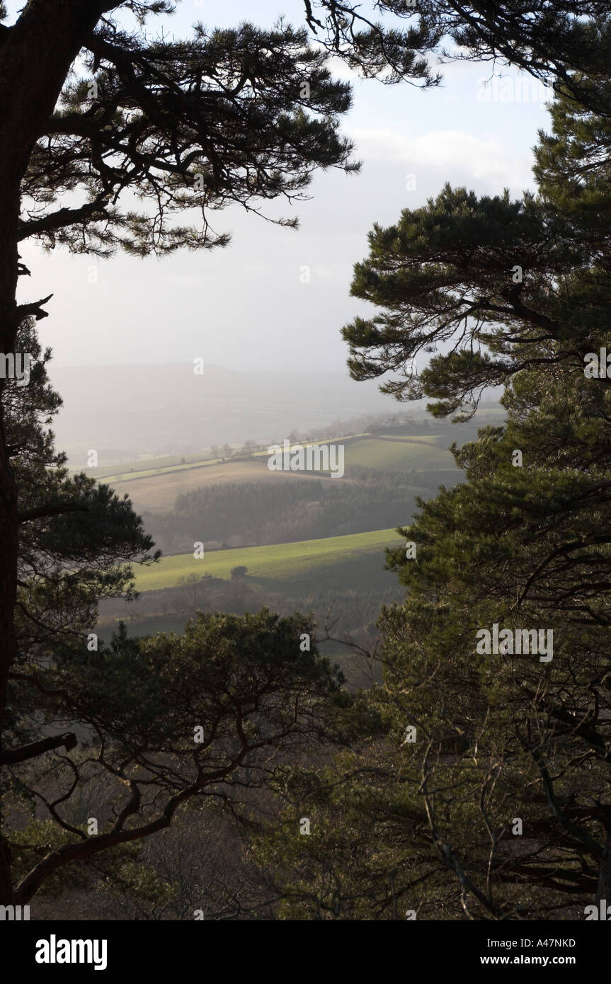 Vue de l'Lewesdon dans le Dorset Banque D'Images