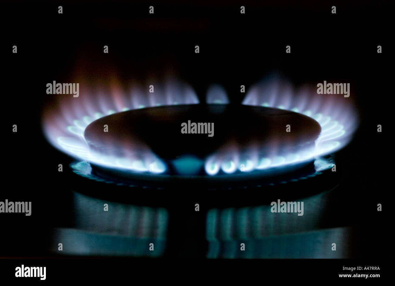 Un anneau de gaz allumée sur le dessus d'une cuisinière Février 2006 Banque D'Images