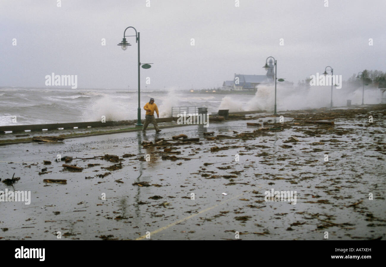 La route de St Luce couverts en bois vers le rivage par les grandes vagues Banque D'Images