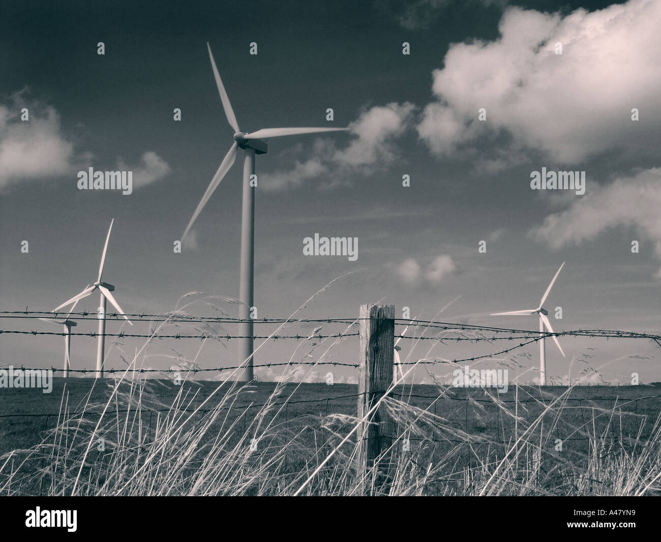 Éoliennes, Lake District, Cumbria, Angleterre, sur la route de whitehaven Banque D'Images