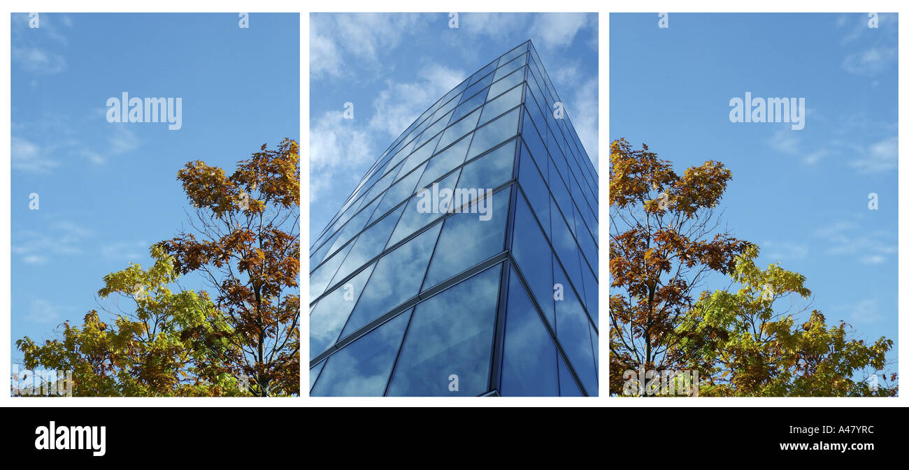 Bâtiment de verre avec reflet de ciel jutaposed avec arbres Banque D'Images