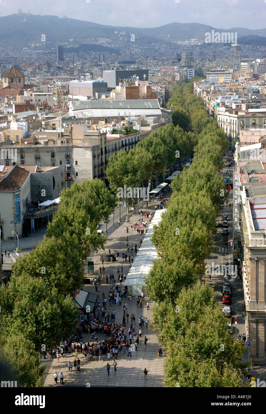 Vue panoramique de Las Ramblas Barcelona LA CATALOGNE CATALOGNE CATALOGNE Barça Barça Costa Brava España Espagne Europe Banque D'Images