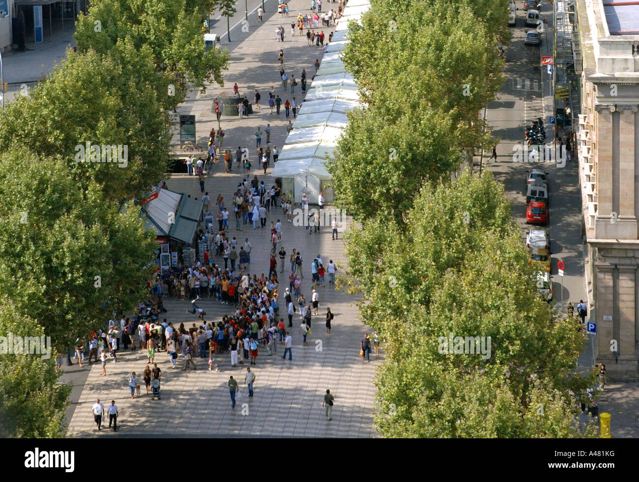 Vue panoramique de Las Ramblas Barcelona LA CATALOGNE CATALOGNE CATALOGNE Barça Barça Costa Brava España Espagne Europe Banque D'Images