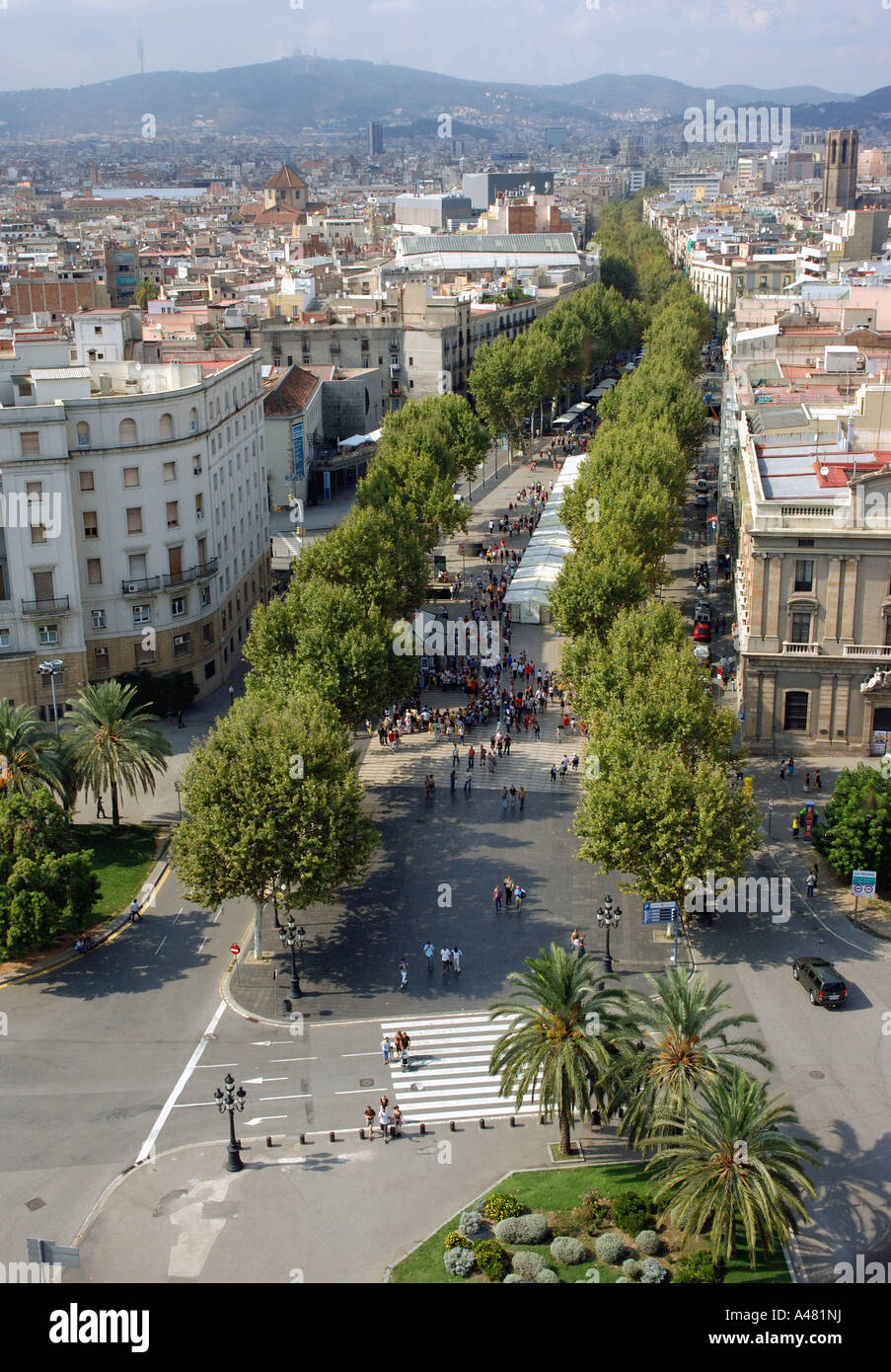 Vue panoramique de Las Ramblas Barcelona LA CATALOGNE CATALOGNE CATALOGNE Barça Barça Costa Brava España Espagne Europe Banque D'Images