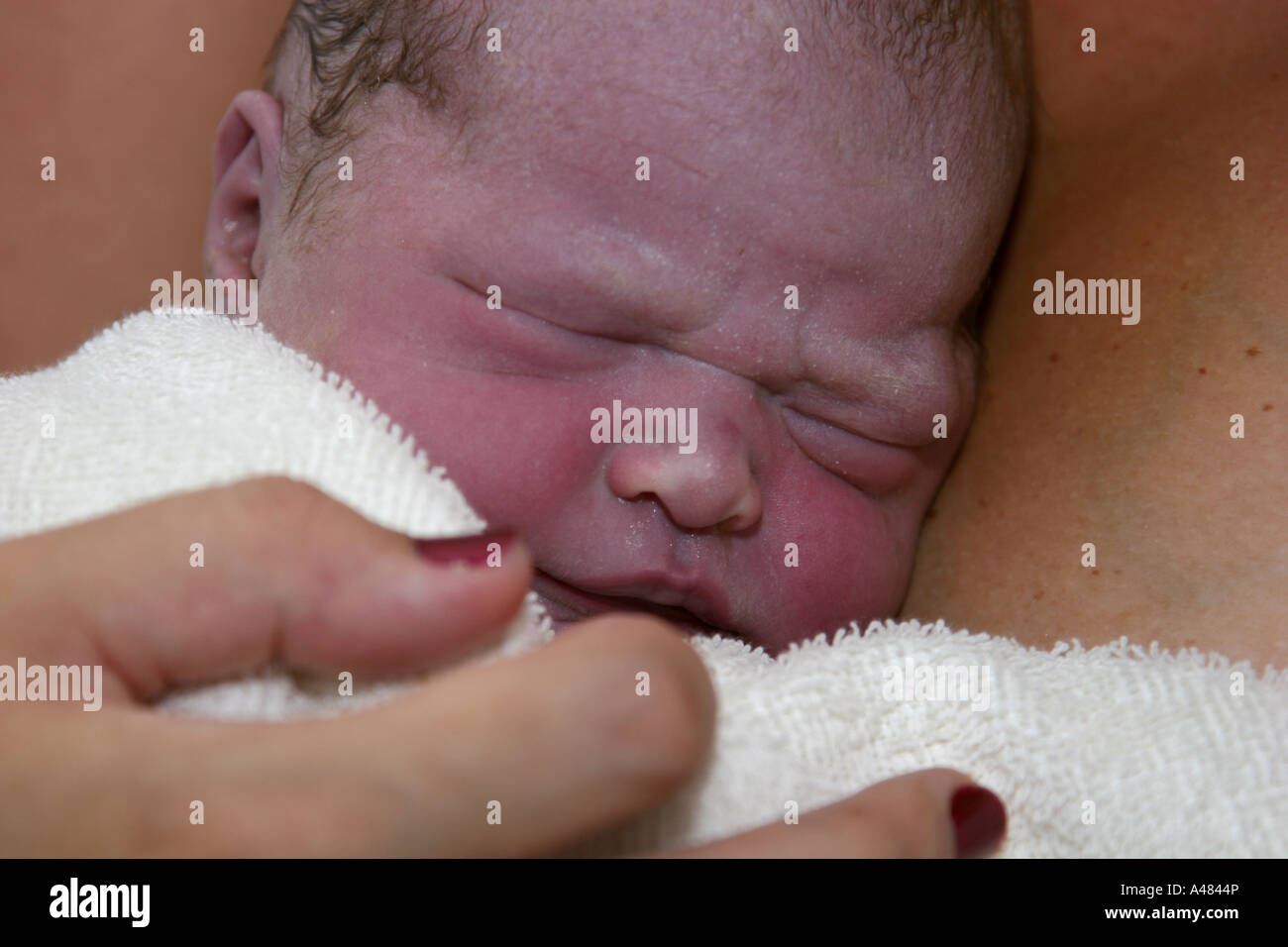 Bébé nouveau-né immédiatement après la naissance se reposant sur la poitrine de sa mère Banque D'Images