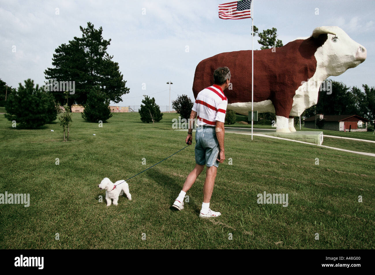 L'homme promenait son chien géant dernière vache concrètes statue . Iowa USA Banque D'Images