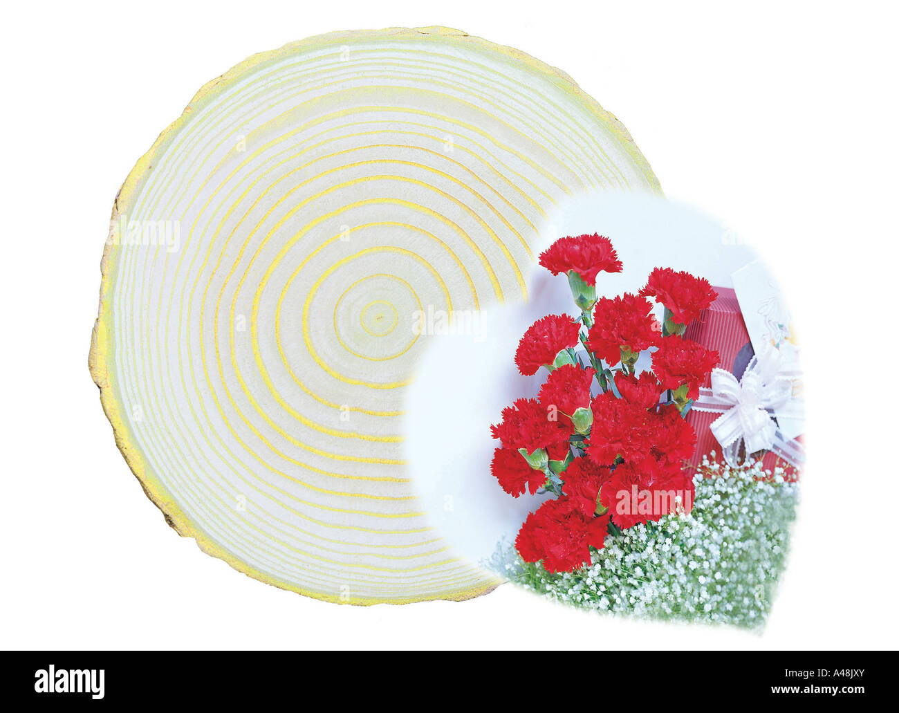 Close-up d'un bouquet de fleurs et un cadeau sur une souche d'arbre Banque D'Images