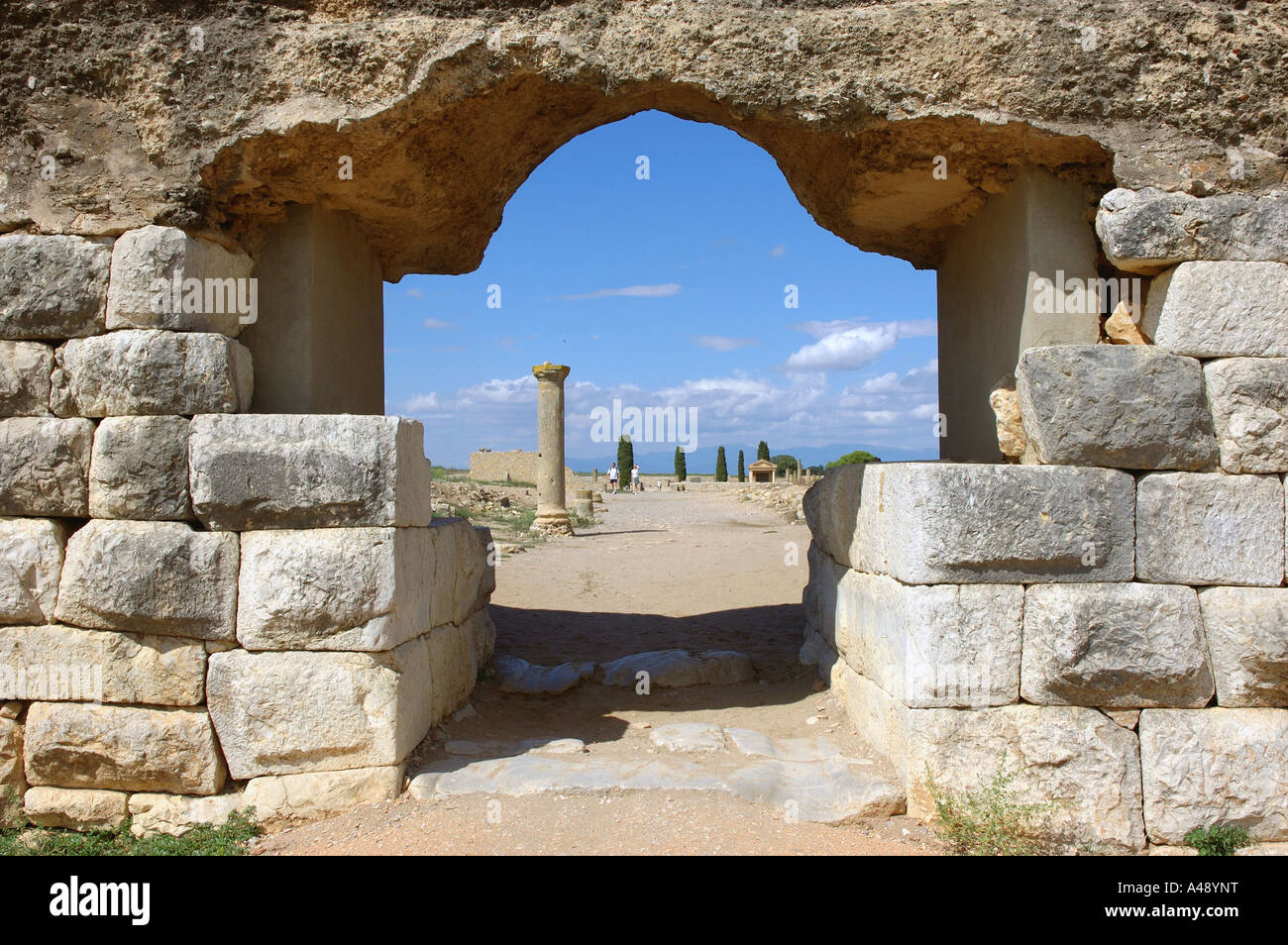 Vue panoramique ruinas de Ampurias Empúries Empúries Girona Gérone Catalogne Catalogne Catalogne Costa Brava España Espagne Europe Banque D'Images