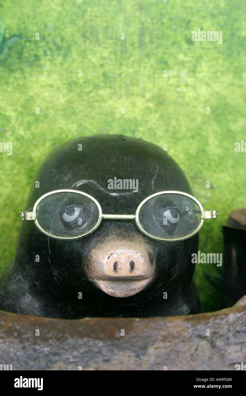 Mole en bois avec des lunettes Photo Stock - Alamy