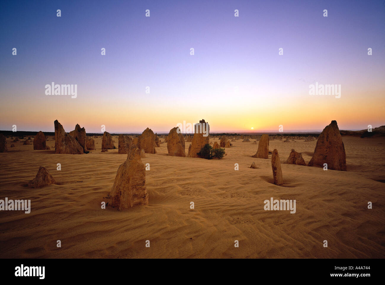 Les Pinnacles, Australie de l'Ouest Banque D'Images