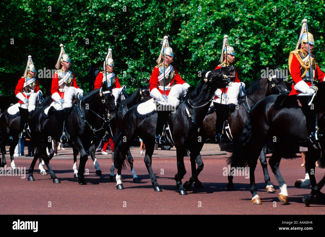 Boucle de l'armée britannique - Canada