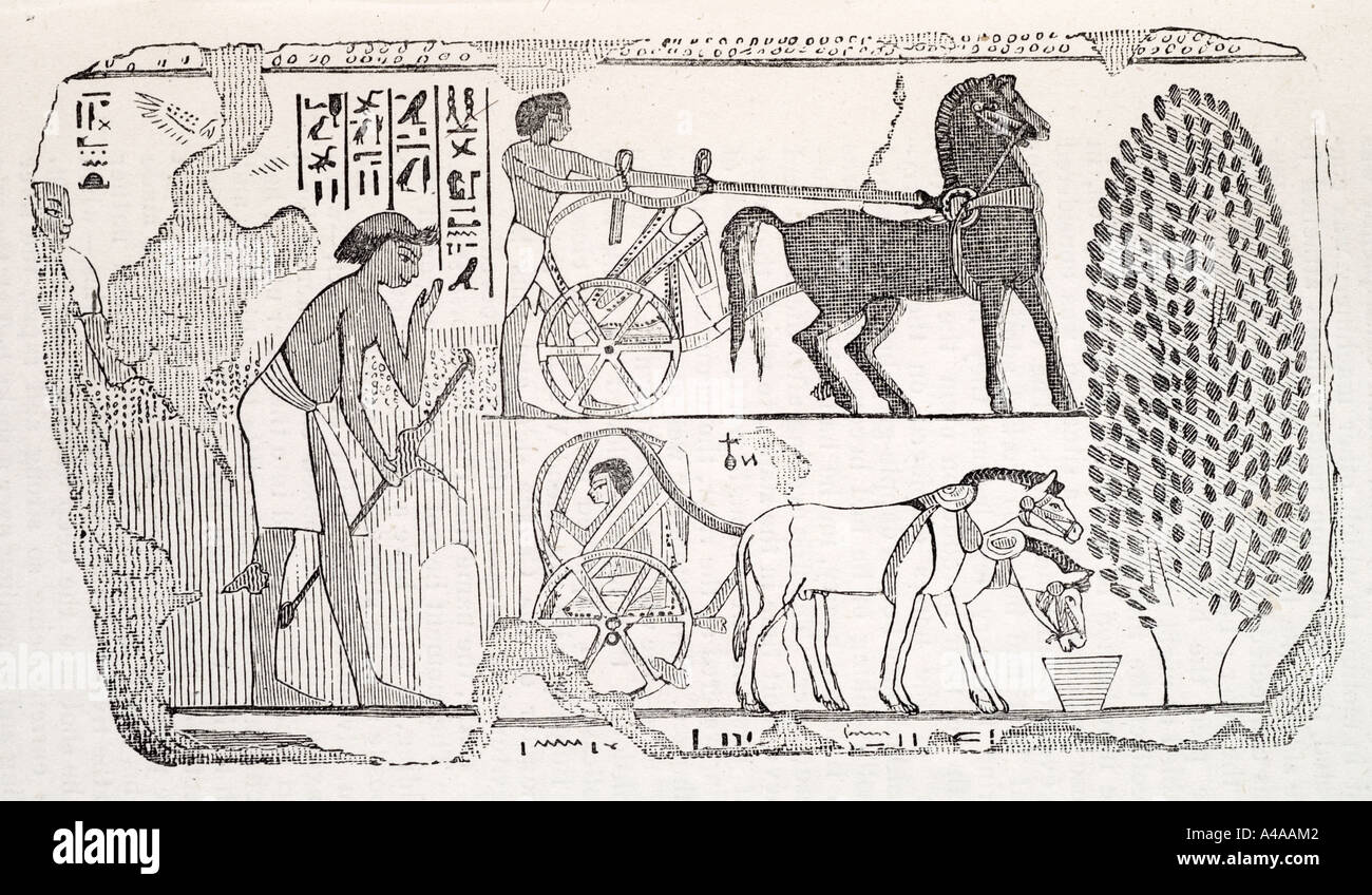 Les travaux de transport chariot cheval Egypte pharaon temple inscription peinture égyptienne pétroglyphes au British Museum Banque D'Images