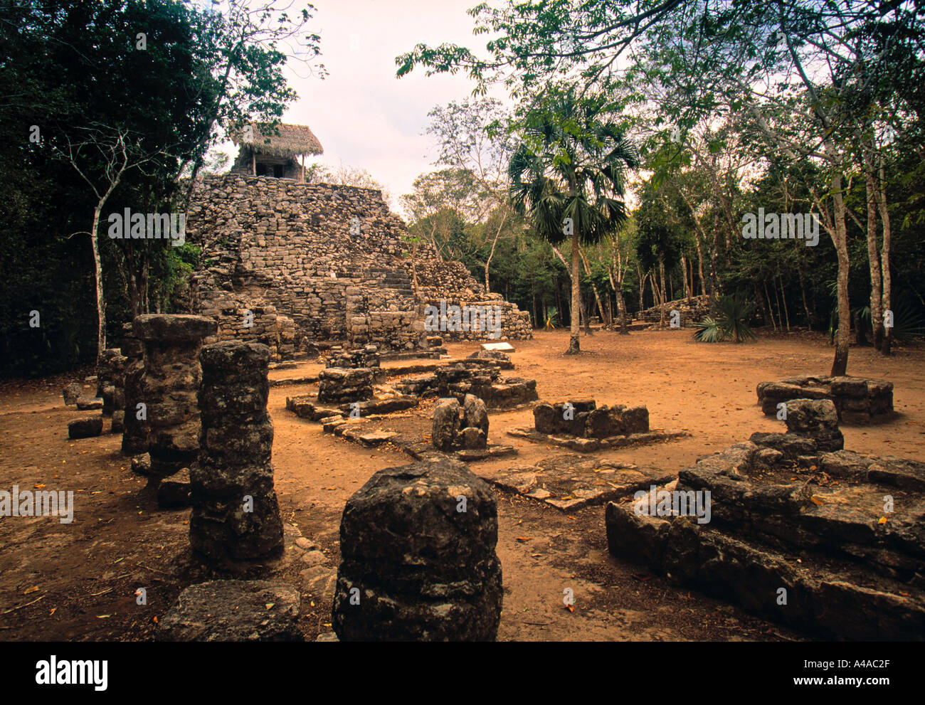 Ruines mayas, Coba, Mexique Banque D'Images