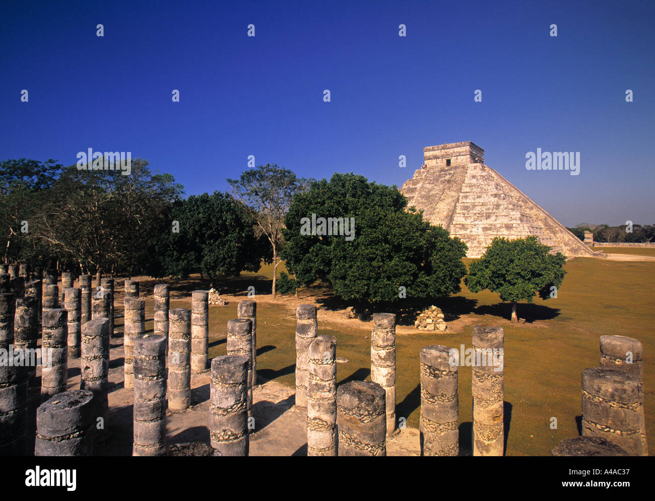 El Castillo Pyramide, Chichen Itza, Yucatan, Mexique Banque D'Images