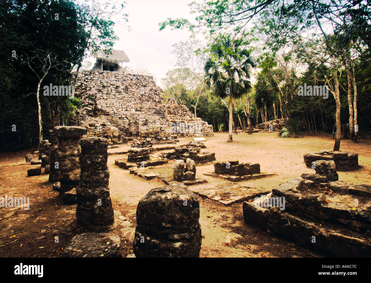 Ruines mayas, Coba, Quintana Roo, Mexique Banque D'Images