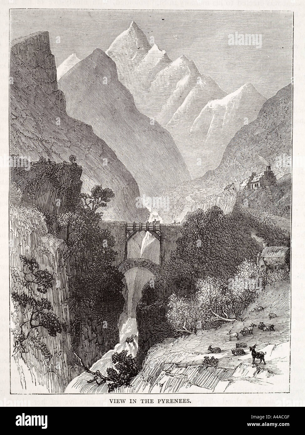 Voir dans les Pyrénées Espagne France bridge mountain river gorge vallée Banque D'Images