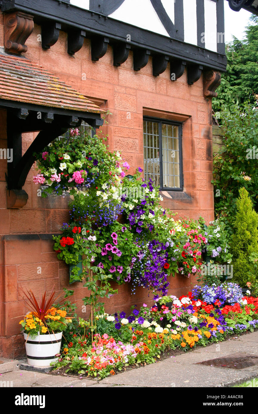 Affichage de fleur Banque D'Images