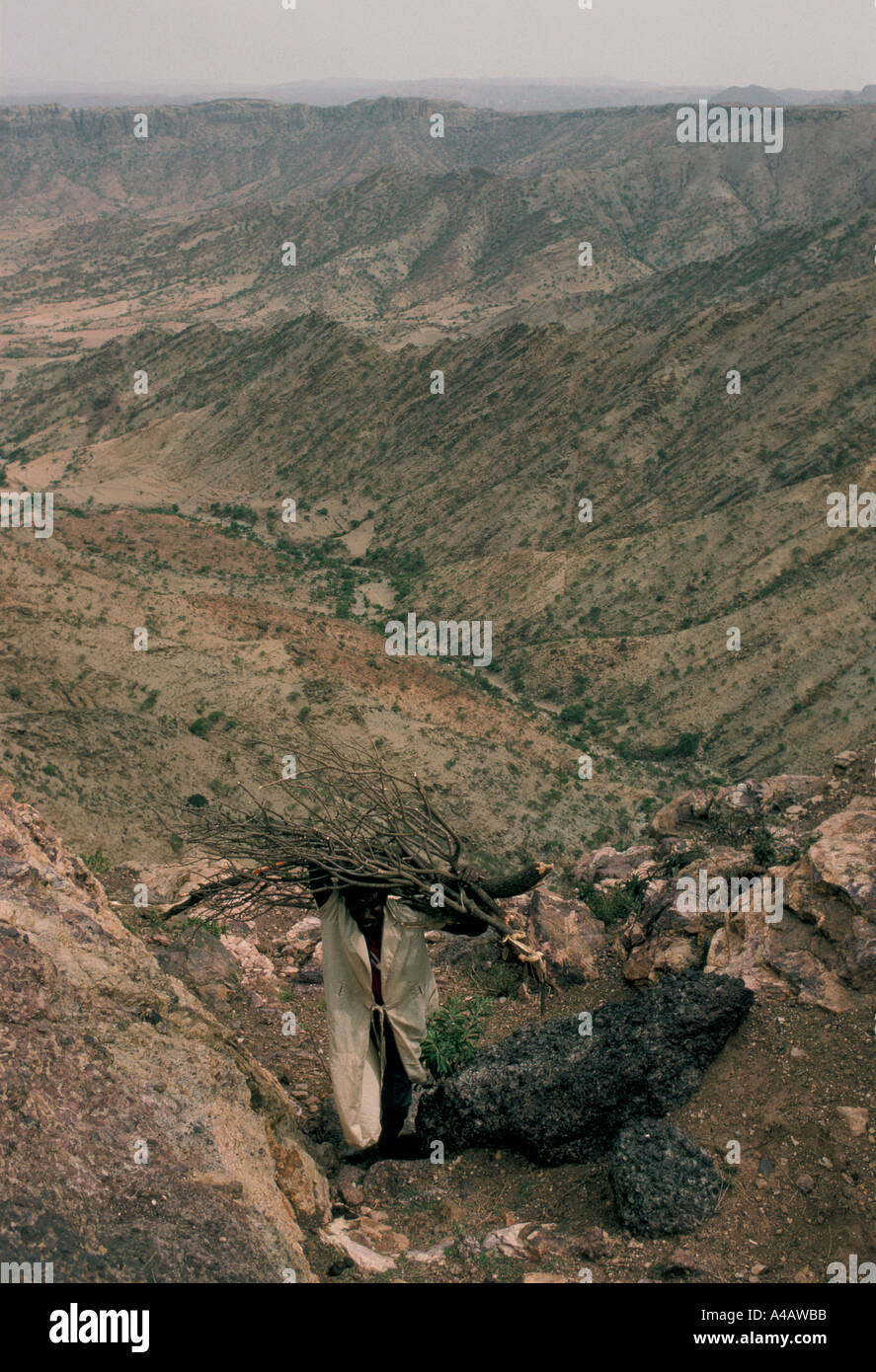 Homme CRRYING LE BOIS SUR LA TÊTE, marchant à travers le paysage rocheux, MESHAL VILLAGE, l'ÉRYTHRÉE, 1991 Banque D'Images