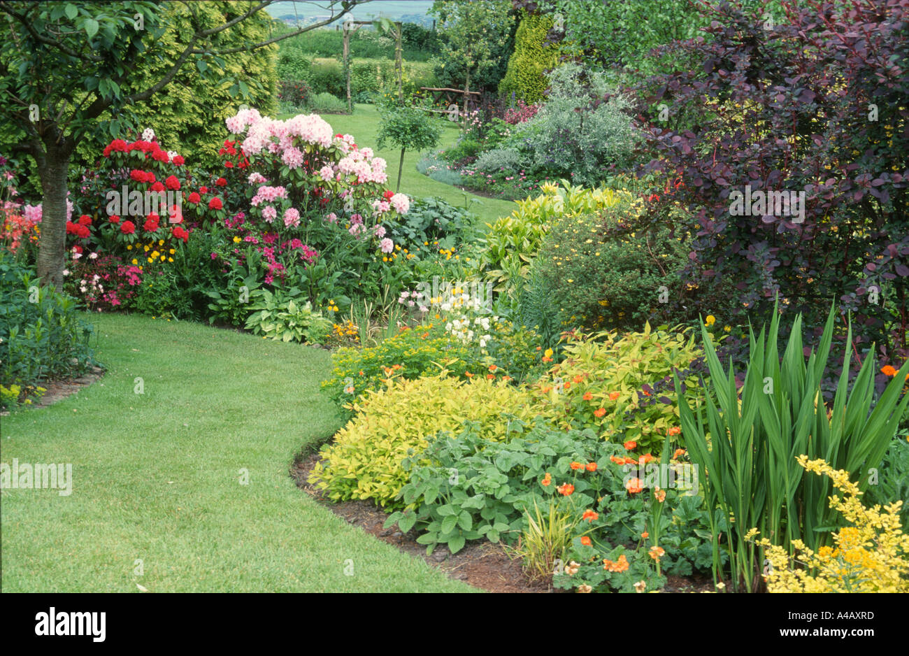 Interlocking simples dans un jardin de printemps avec azalée rhododendron et coquelicot Banque D'Images