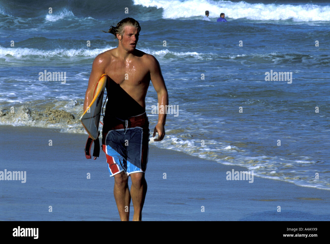 Man carrying surf board, dans la mer. La plage de Bondi. Nouvelle-galles du Sud. L'Australie Banque D'Images