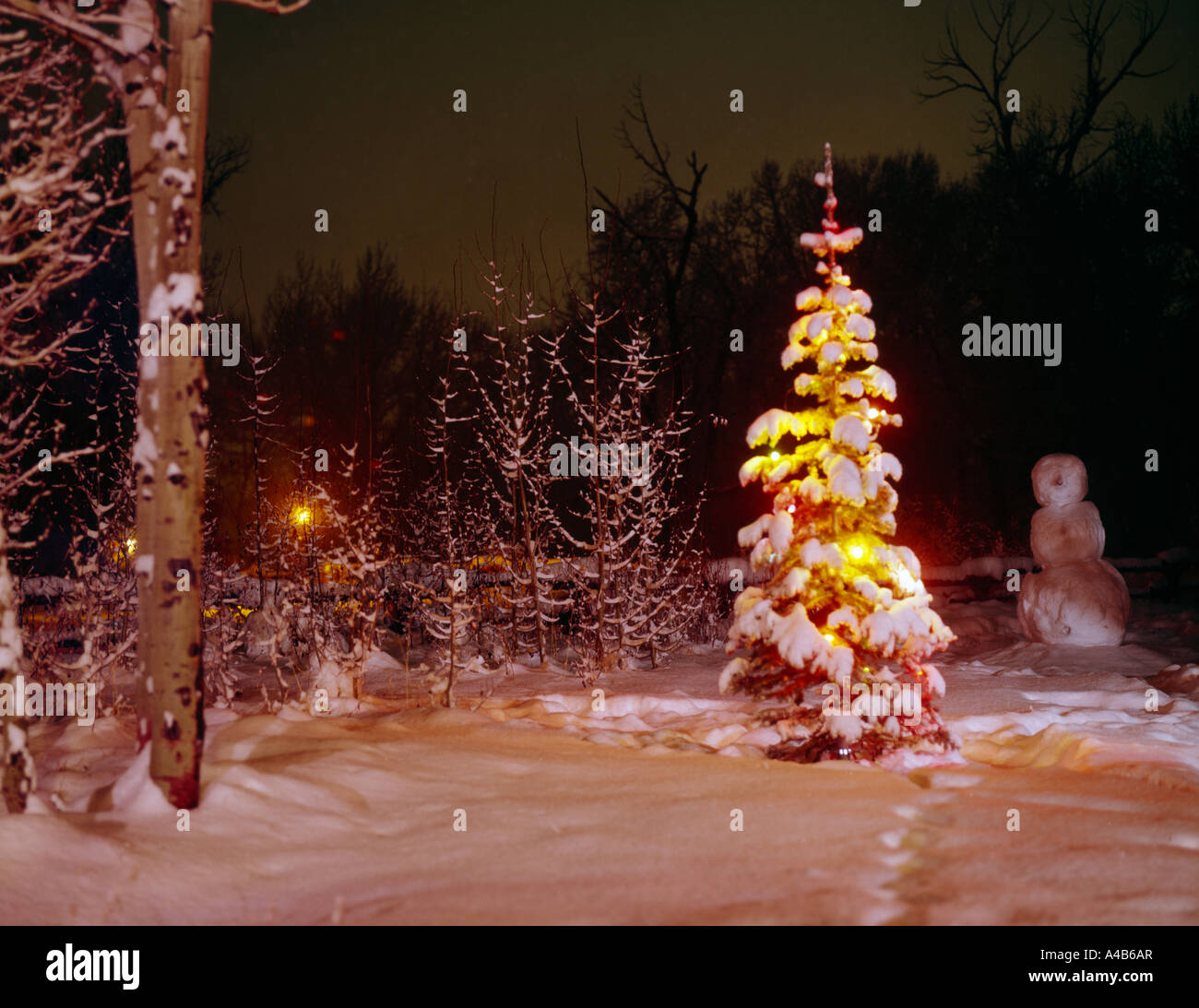 Vue de nuit de courts couverts d'arbres de Noël avec la neige fraîche et avec un vieux bonhomme de neige dans l'arrière-plan Banque D'Images
