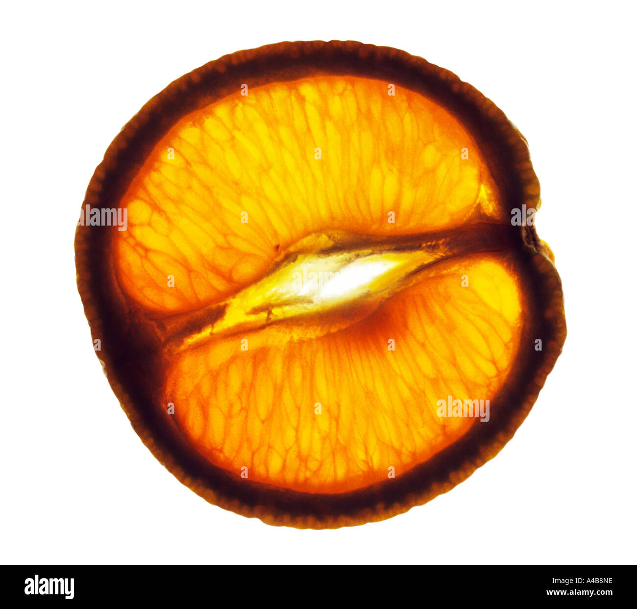 La surface de section fine d'orange avec intact de Peel Banque D'Images