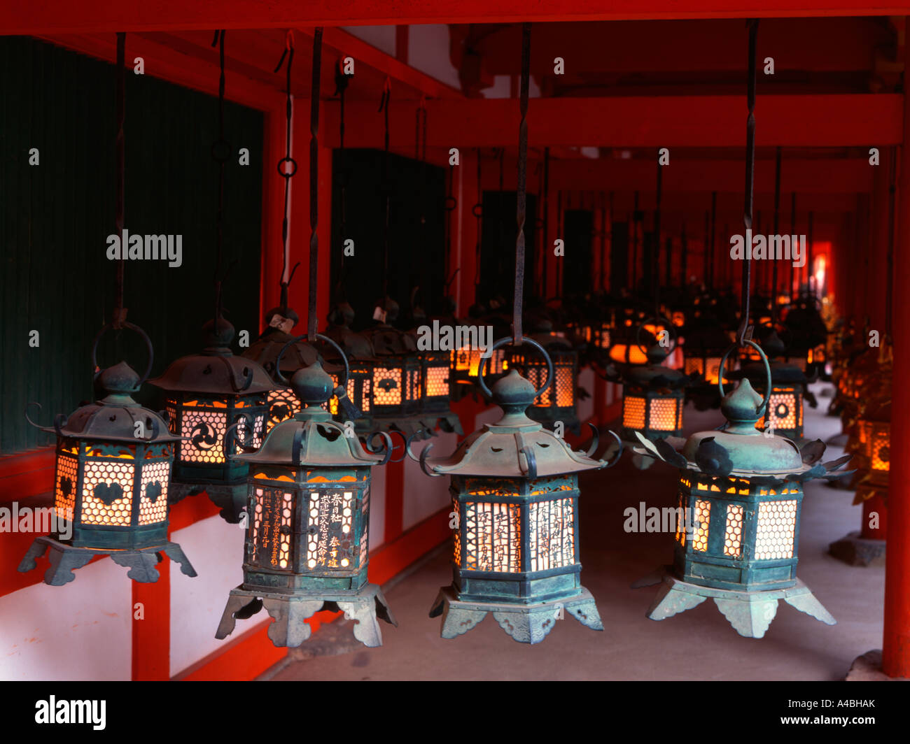 Grand Kasuga Shrine, Nara, Japon.Taisha-zukuri style architectural. Setsubun ( Mantoro Lantern Festival ) tenue le 3 février Banque D'Images