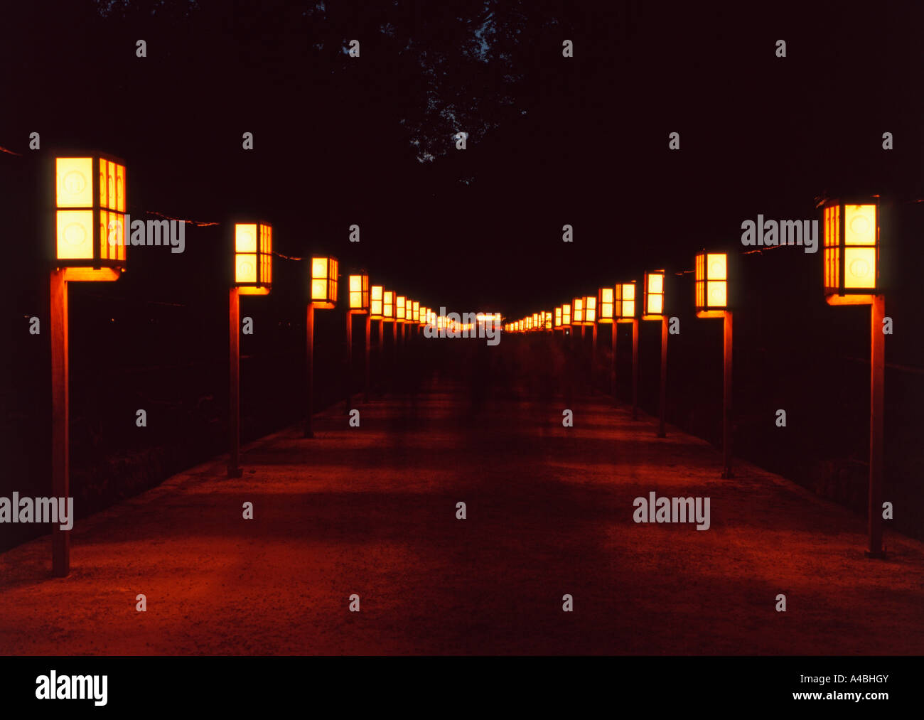 Grand Kasuga Shrine, Nara, Japon.Taisha-zukuri style architectural. Setsubun ( Mantoro Lantern Festival ) tenue le 3 février Banque D'Images