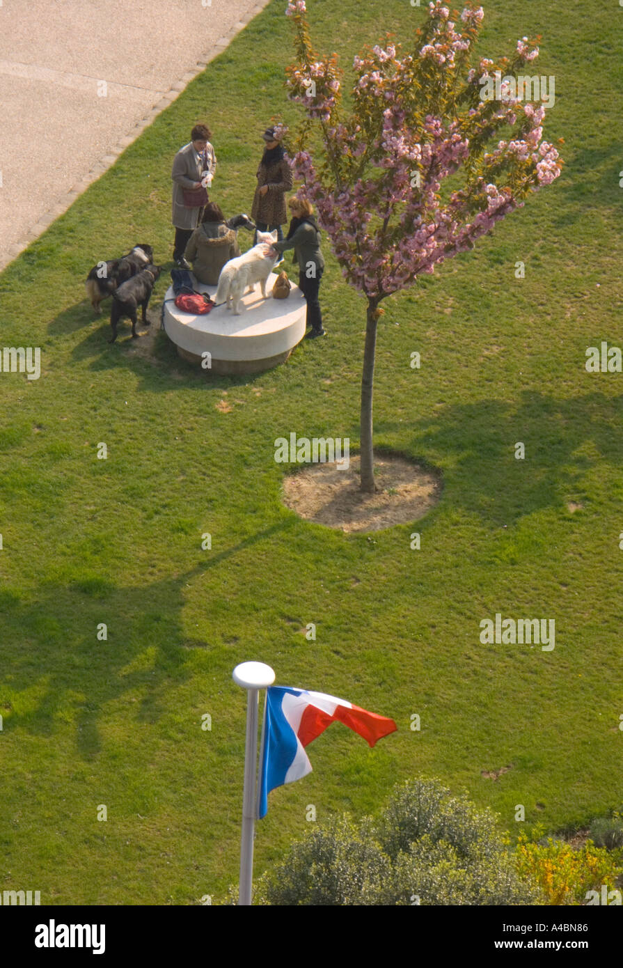 Sur les bords de Seine à Paris rencontrez les femmes promènent leurs chiens sur une journée ensoleillée d'avril Banque D'Images