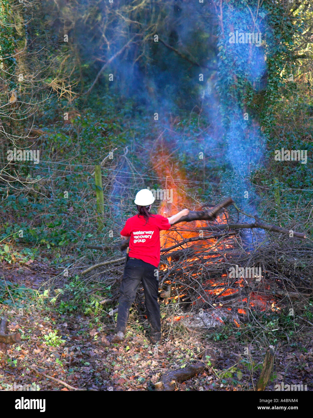 Branches de compensation femme forestiers Environnement contrôlé d'un feu de galles Banque D'Images