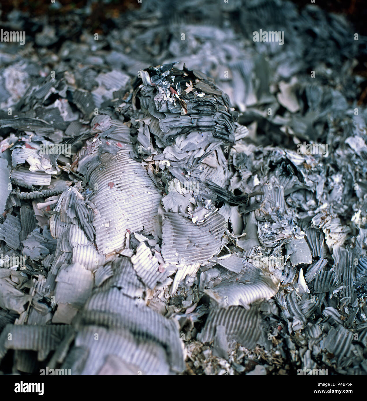 Une pile de cendres gris argenté laissées par des boîtes en carton en feu au pays de Galles Kathy DEWITT, Royaume-Uni Banque D'Images