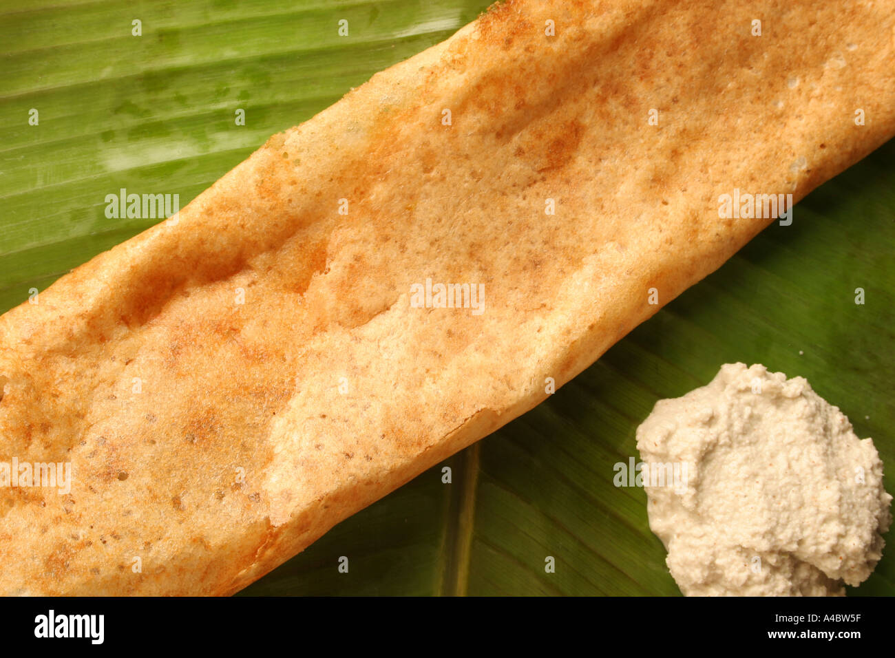 Pâte de riz DOSA frit peu profond avec du chatni de noix de coco sur la feuille de banane verte Banque D'Images