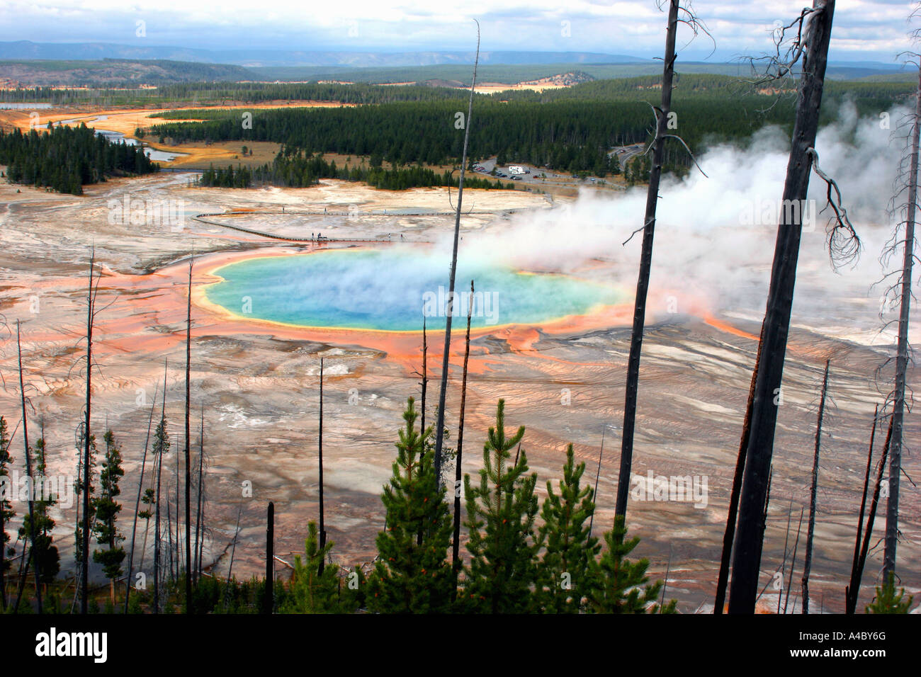 Grand Prismatic Spring, Midway geyser Basin, parc national de Yellowstone, Wyoming Banque D'Images