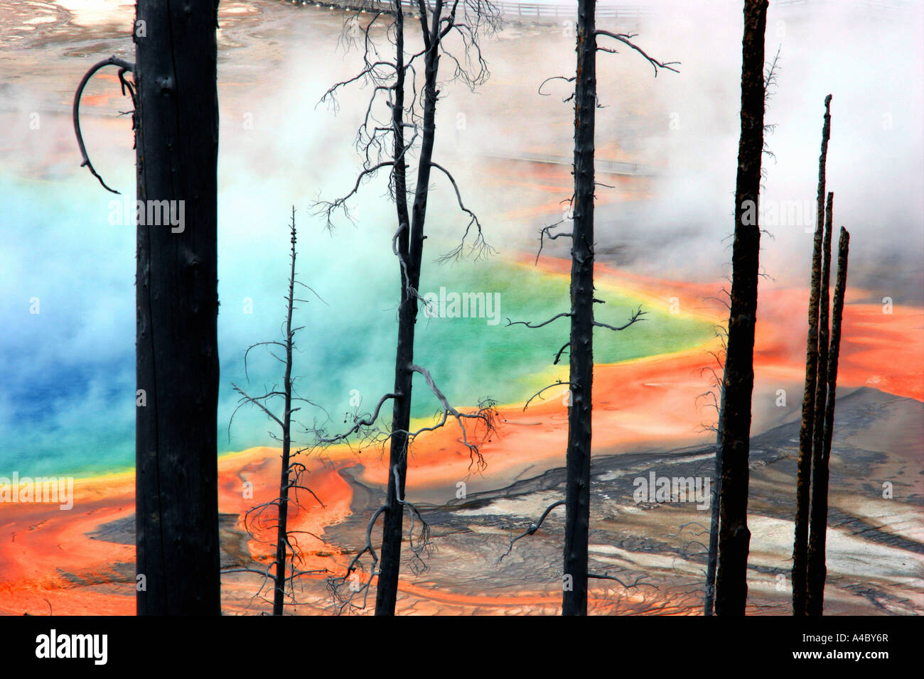 Grand Prismatic Spring, Midway geyser Basin, parc national de Yellowstone, Wyoming Banque D'Images