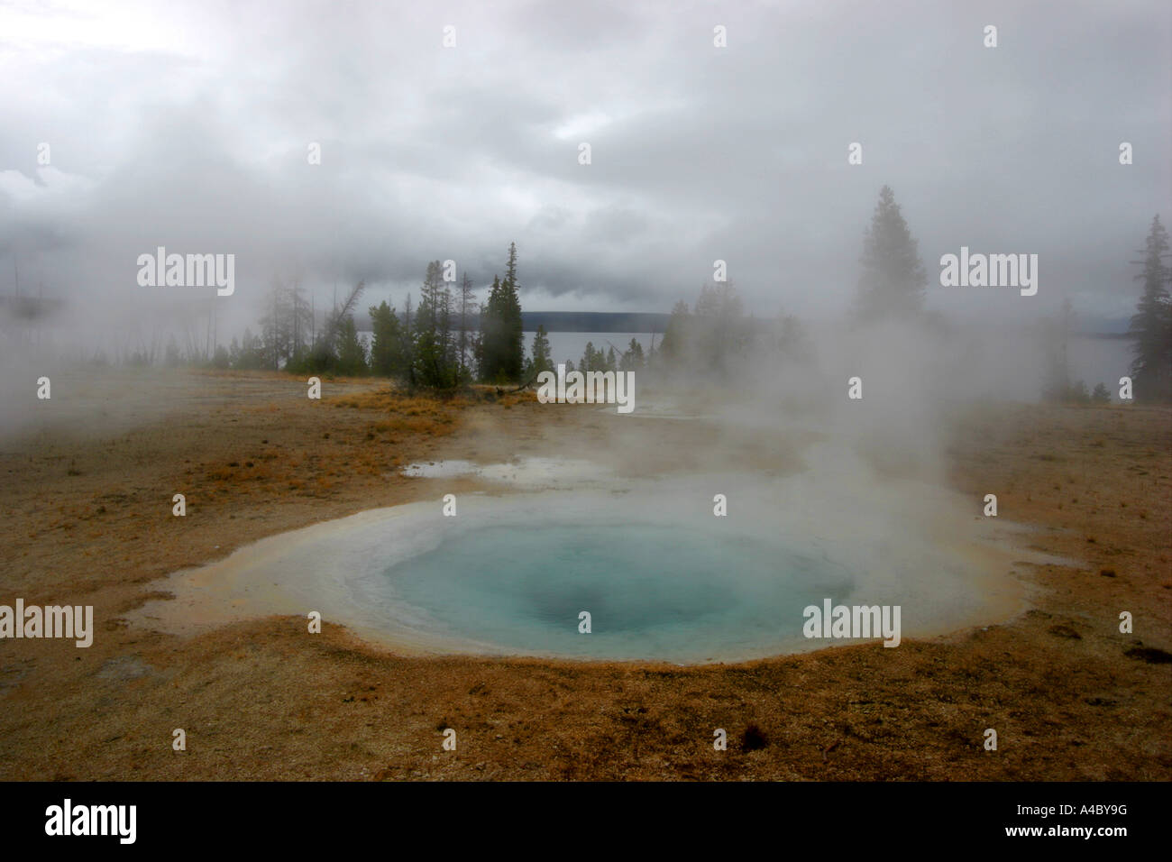 West Thumb geyser Basin, parc national de Yellowstone, Wyoming Banque D'Images