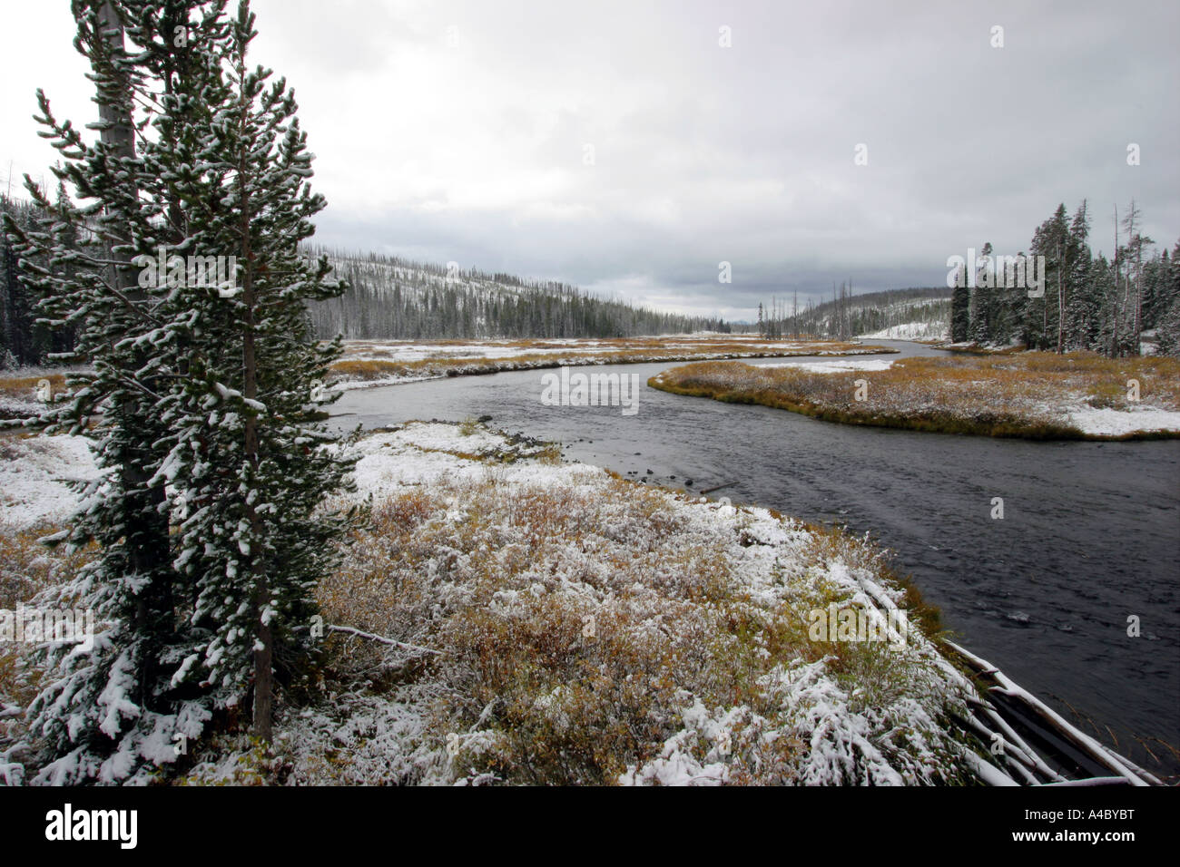 Poussière d'hiver sur la rivière Lewis, le parc national de Yellowstone, Wyoming Banque D'Images