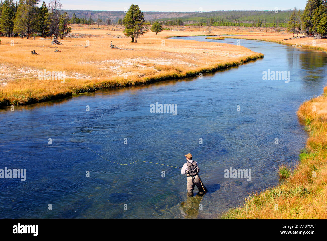 La pêche à la mouche, la rivière firehole, Yellowstone National Park, Wyoming Banque D'Images
