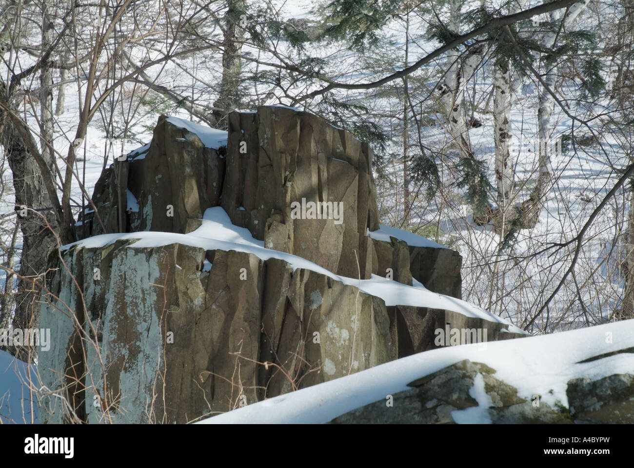 Basalte parfois appelé trap rock à la Mount Tom State Reservation à Holyoke Massachusetts USA Banque D'Images