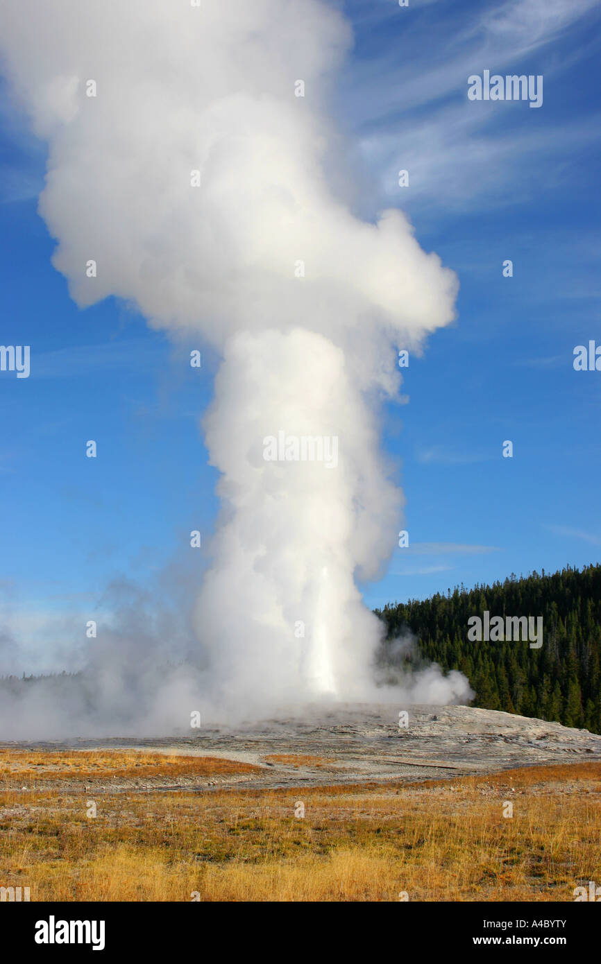 Old Faithful Geyser, le parc national de Yellowstone, Wyoming Banque D'Images