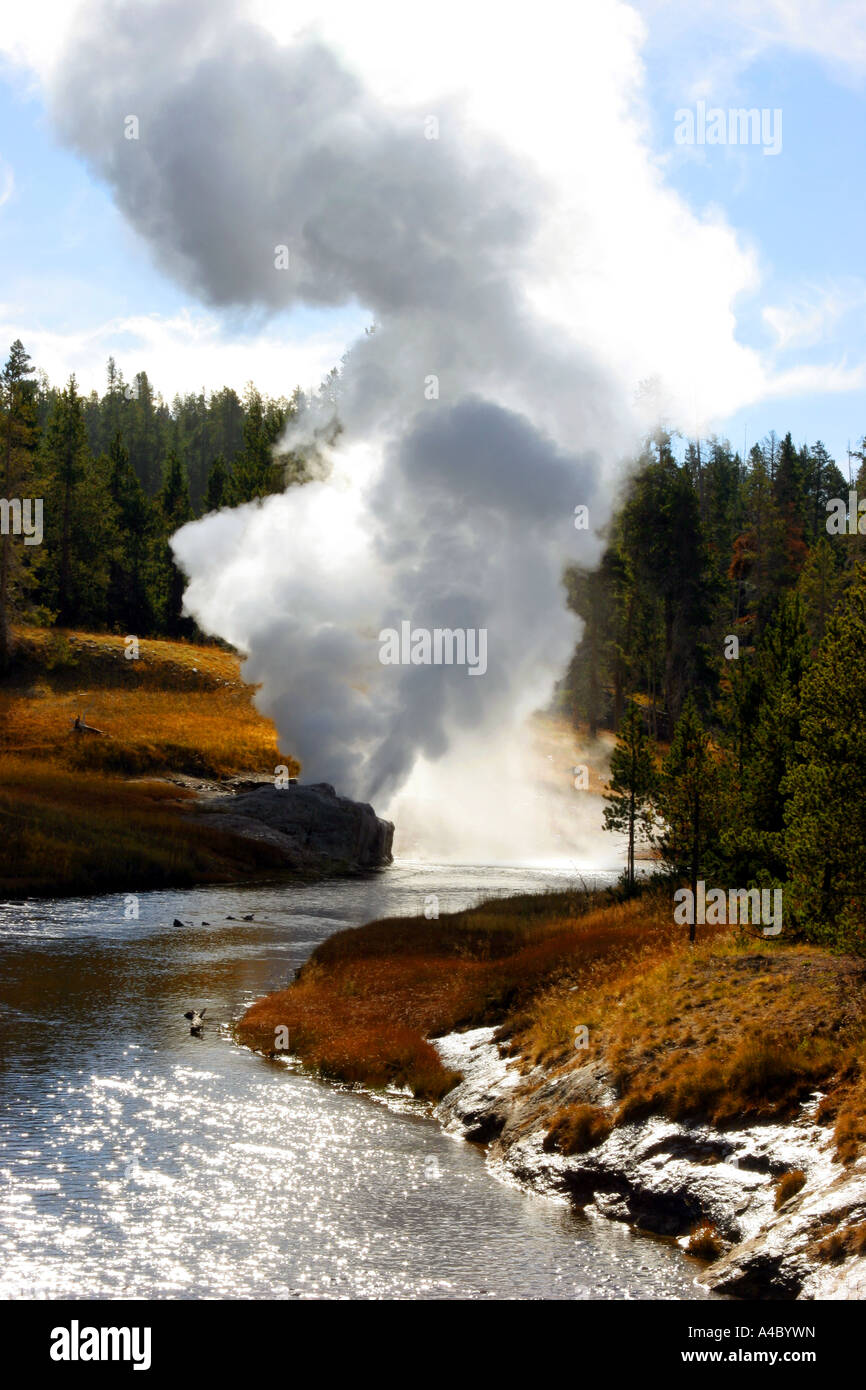 Riverside geyser, le parc national de Yellowstone, Wyoming Banque D'Images