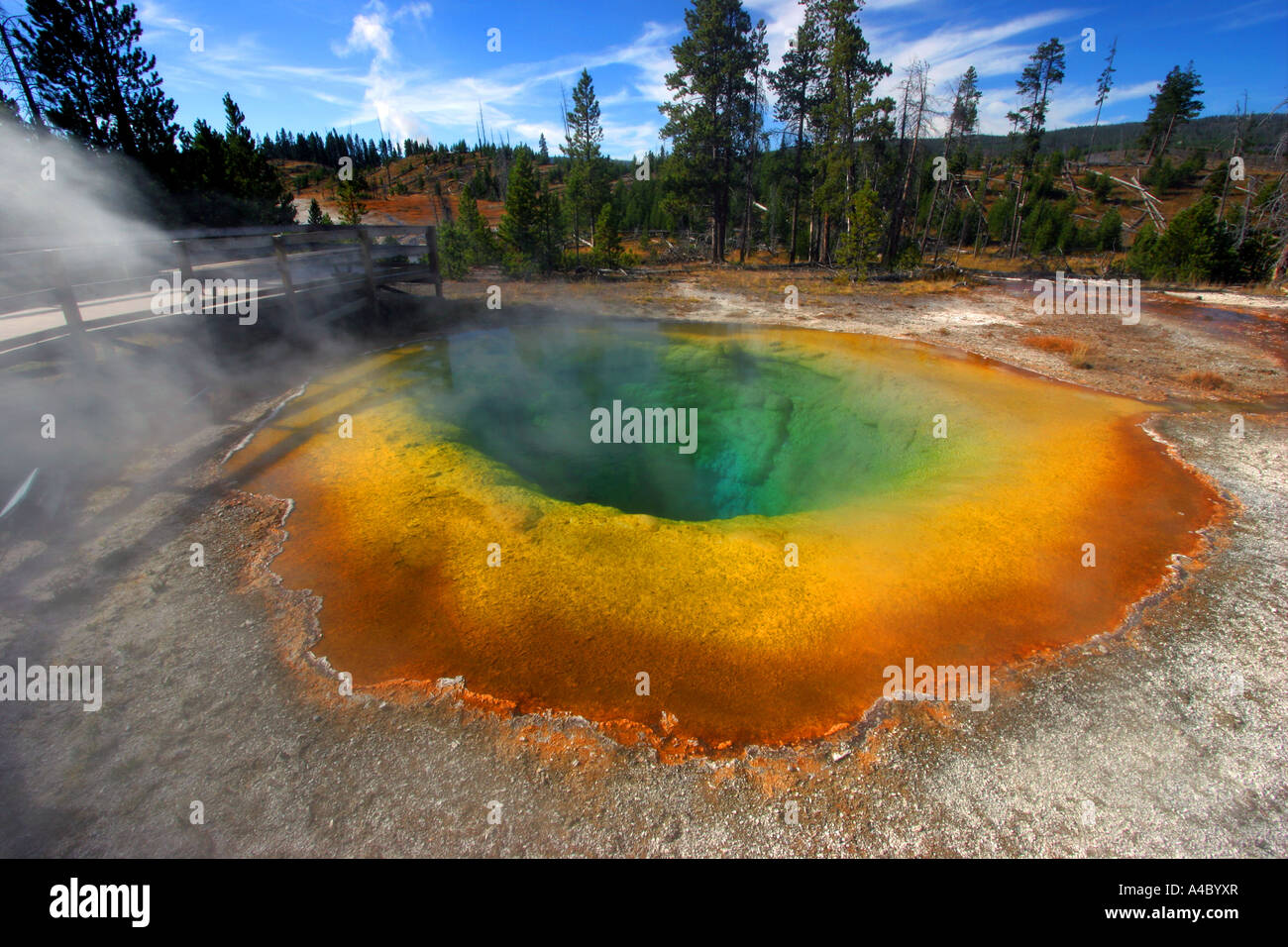 Morning Glory pool, le parc national de Yellowstone Banque D'Images