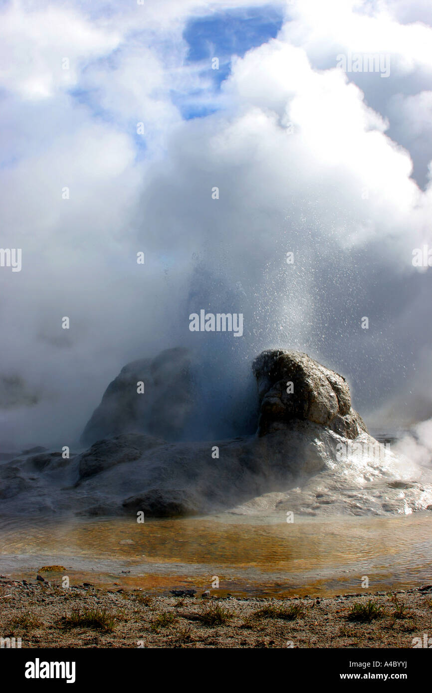 Grotto geyser, le parc national de Yellowstone, Wyoming Banque D'Images