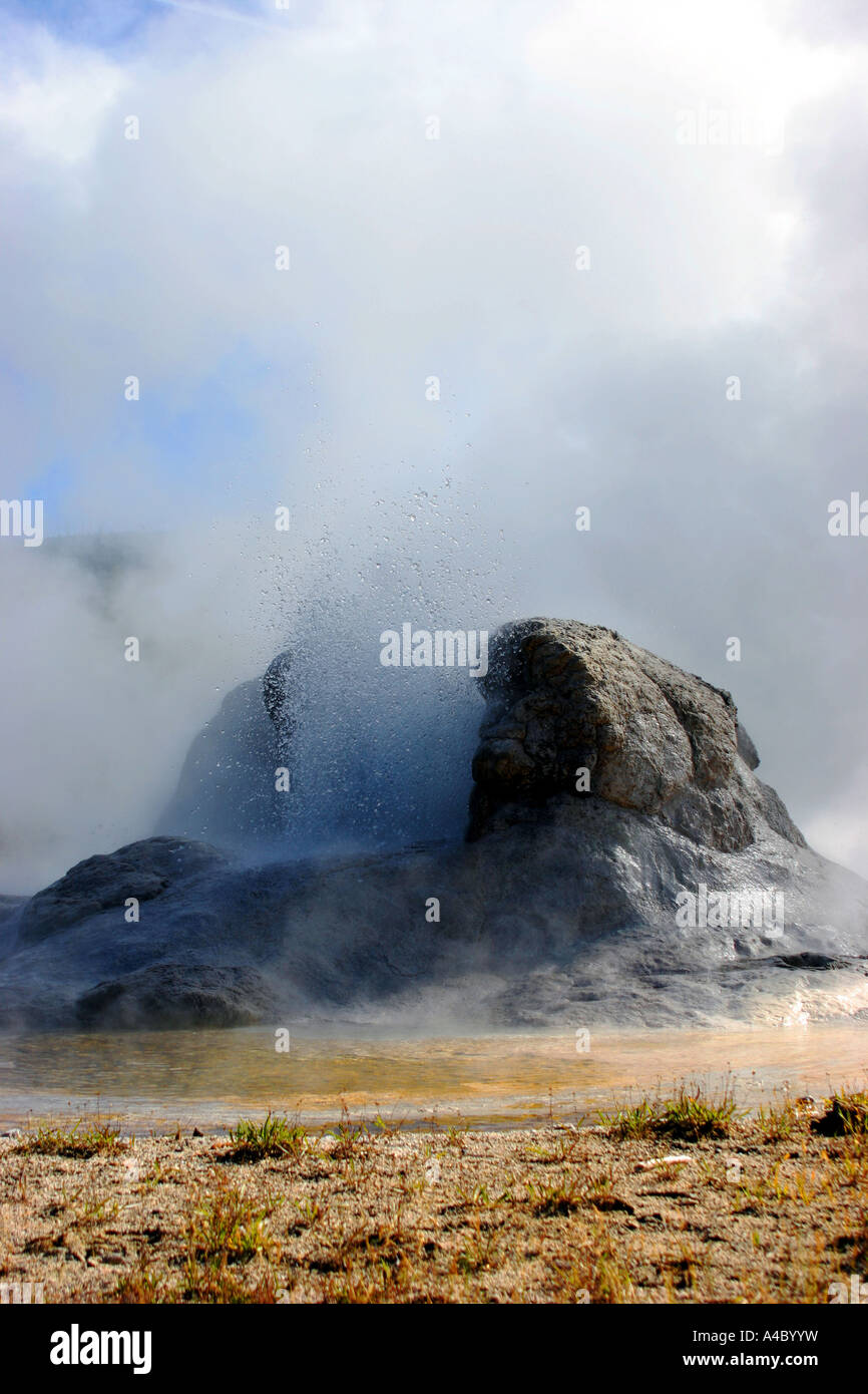 Grotto geyser, le parc national de Yellowstone, Wyoming Banque D'Images