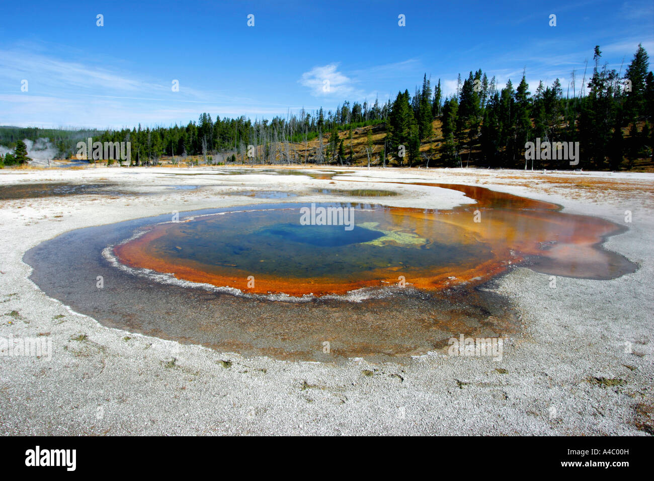 Hot spring dans Old Faithful Geyser, le parc national de Yellowstone, Wyoming Banque D'Images
