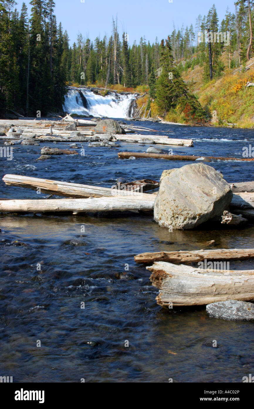 Lewis falls, parc national de Yellowstone, Wyoming Banque D'Images