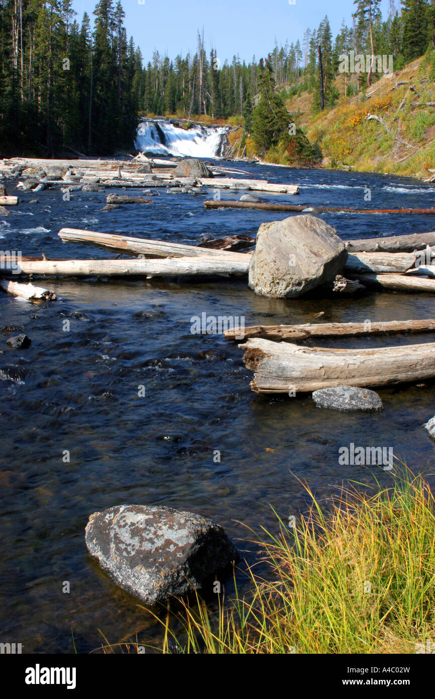 Lewis falls, parc national de Yellowstone, Wyoming Banque D'Images