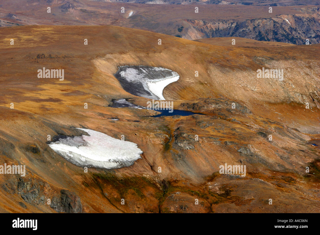 Champs de neige sur le plateau de Beartooth, Wyoming Banque D'Images
