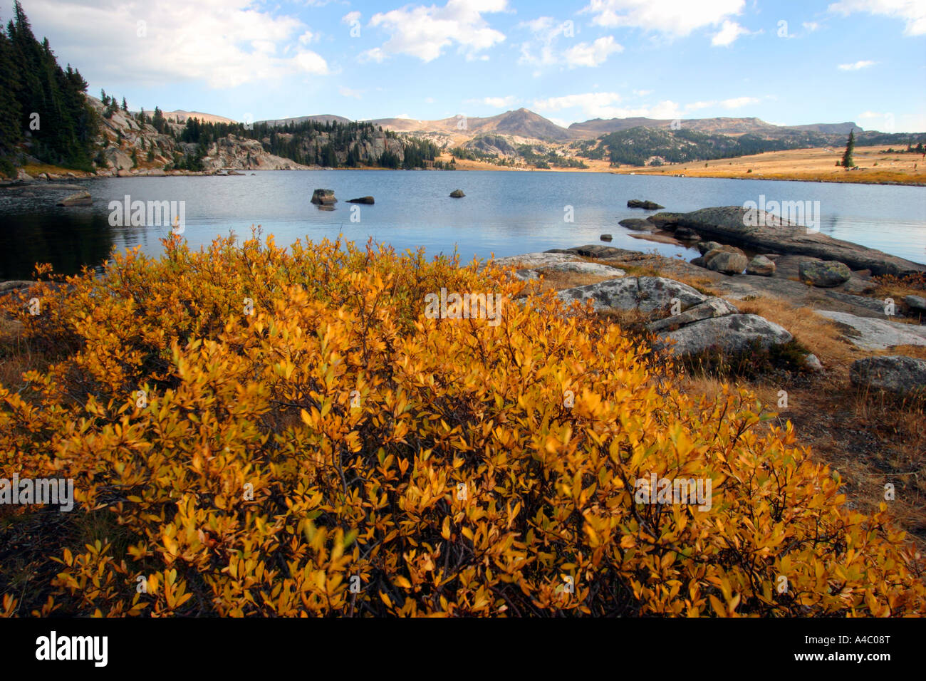 Lac de l'île au large de l'autoroute beartooth, forêt nationale de Shoshone, Wyoming Banque D'Images